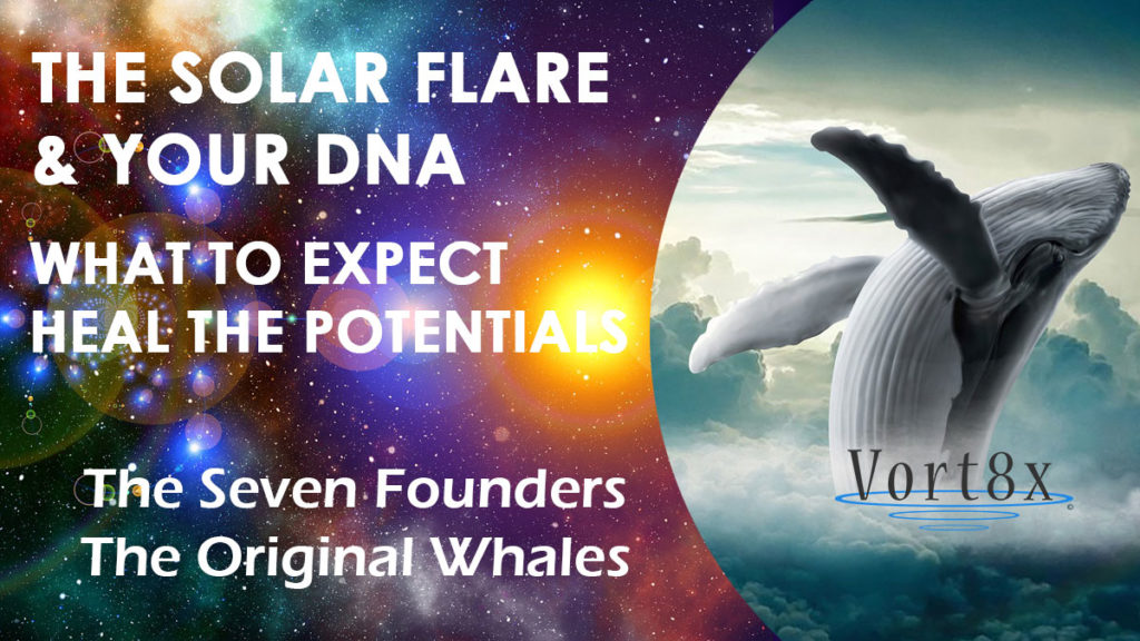 The Solar Flare- Your DNAWhat-To-Expect