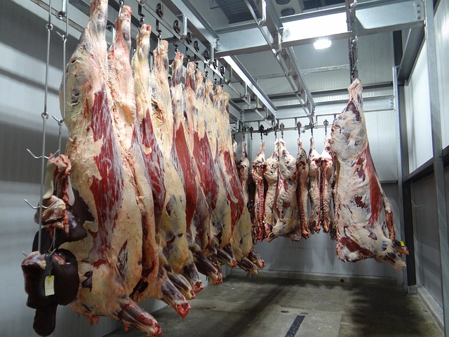 beef-g2a99cb488_640